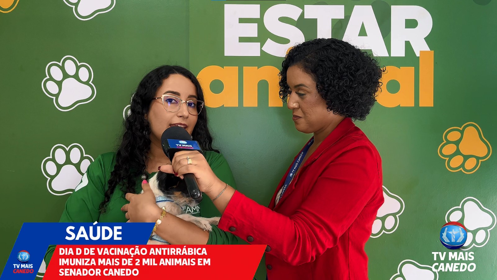 Dia D de vacinação antirrábica em Senador Canedo imuniza mais de 2 mil animais