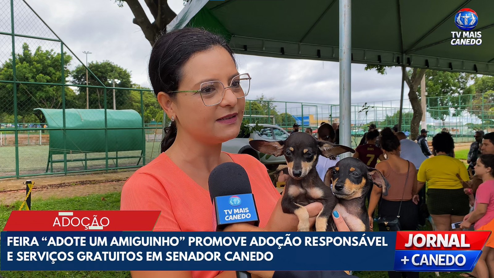 Feira “Adote um Amiguinho” garante novos lares e promove saúde animal