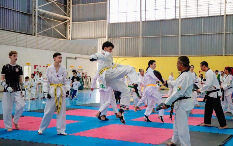 Senador Canedo sedia treino decisivo da seleção goiana de Taekwondo