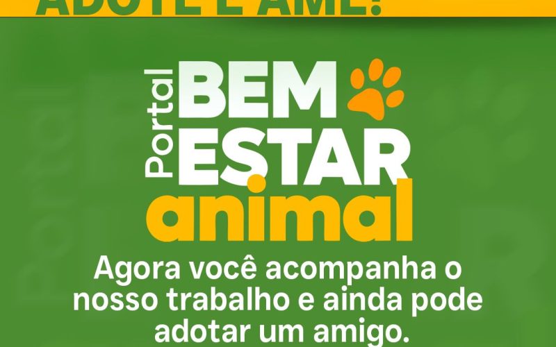 Novo site da Prefeitura de Senador Canedo permite adotar pets com apenas alguns cliques