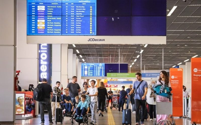Senado aprova novas regras para transporte aéreo de cães e gatos