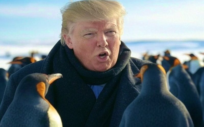 Trump impõe tarifa a ilha sem habitantes e internet reage com memes