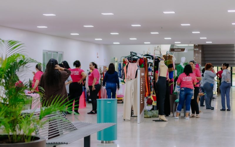Feira Flores das Vilas leva empreendedorismo feminino de Senador Canedo à Alego em edição especial