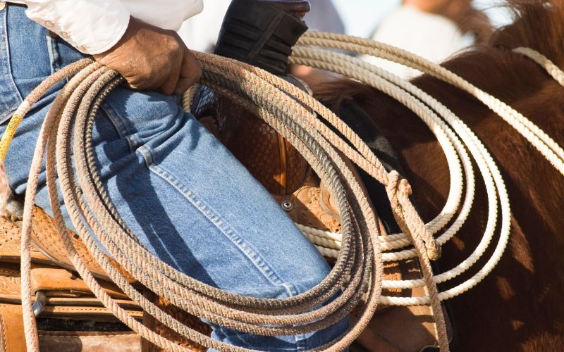 Caldazinha celebra Rodeio Show com grandes nomes sertanejos e ação solidária. Entretenimento e doação se unem