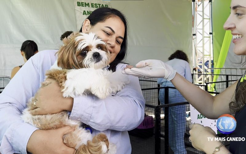 AMMA impulsiona sustentabilidade e bem-estar animal no Avança Canedo