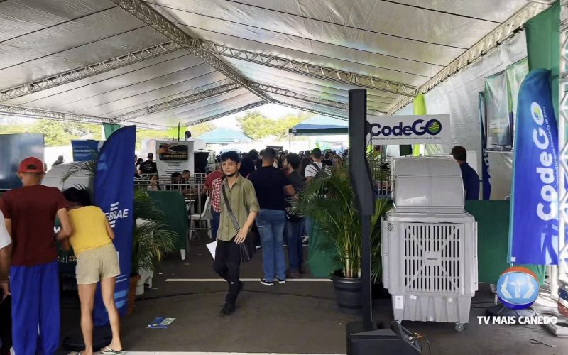 Avança Canedo + Empregos oferece mais de 3 mil oportunidades para a população