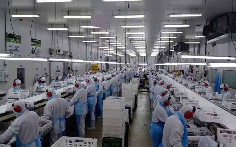 Preços dos alimentos caem no atacado após 10 meses e aliviam pressão sobre inflação