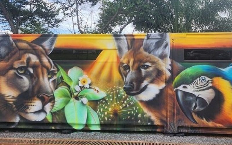 Cetas-GO recebe laboratório de genética para reforçar resgate e combate ao tráfico de animais silvestres
