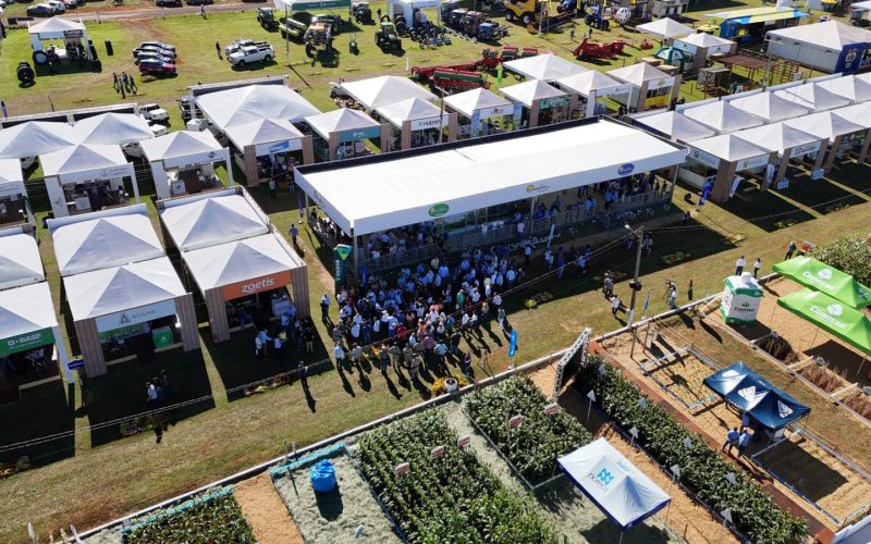 Feiras agropecuárias em Goiás devem movimentar mais de R$ 11 bilhões em 2025