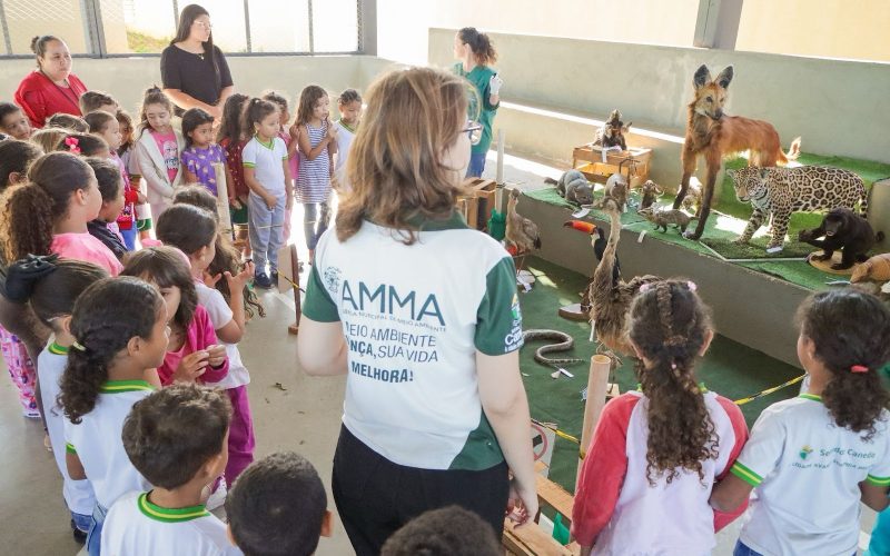 Educação ambiental com animais taxidermizados encanta alunos em Senador Canedo