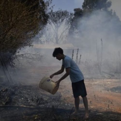 Brasil registra maior número de queimadas em 40 anos; Amazônia lidera área destruída em 2024