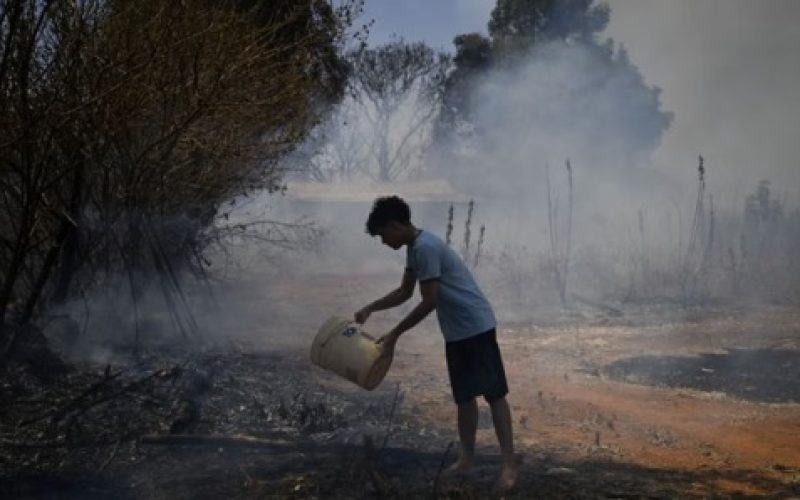 Brasil registra maior número de queimadas em 40 anos; Amazônia lidera área destruída em 2024