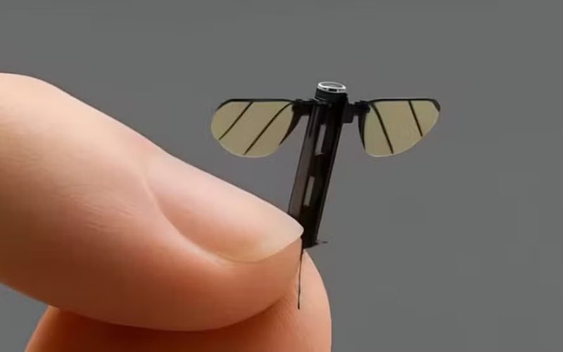 China revela minidrone espião do tamanho de um mosquito para missões militares secretas