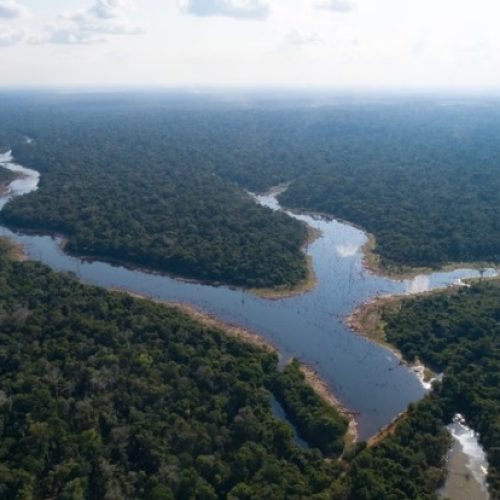 Queda de 18% no desmatamento em junho não impede aumento anual na Amazônia