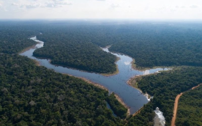 Queda de 18% no desmatamento em junho não impede aumento anual na Amazônia