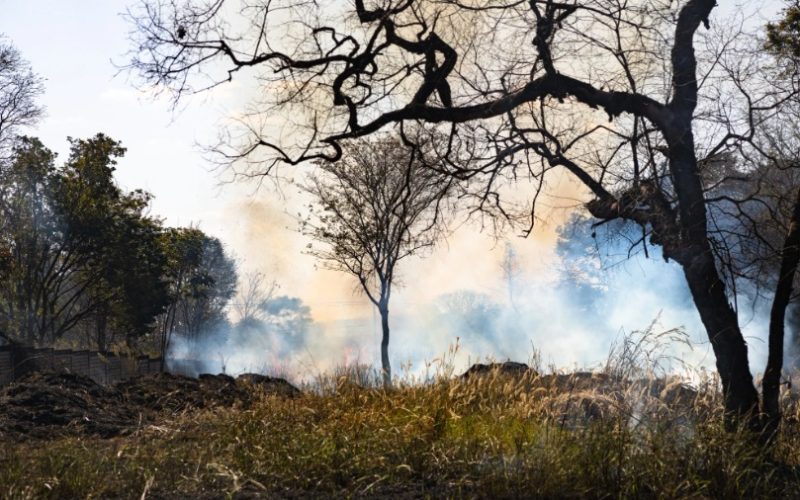 Goiás reduz focos de queimadas em 33% em julho, mas seca extrema mantém estado em alerta