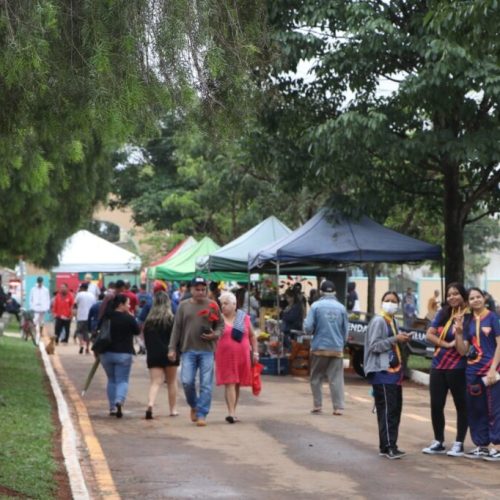 Inscrições abertas para o sorteio de barracas no Cemitério Municipal de Senador Canedo