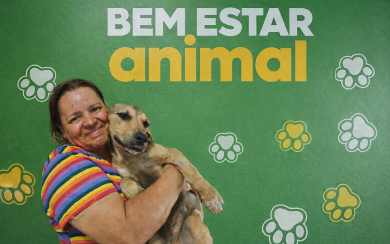 Adoções responsáveis garantem novos lares a cães e gatos em Senador Canedo