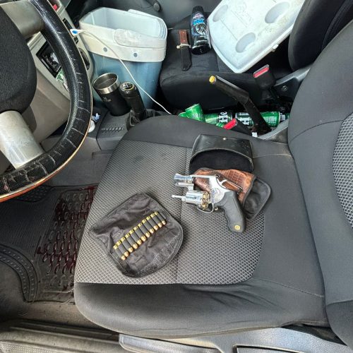 Arma de fogo é apreendida e suspeito é detido pela GCM em Senador Canedo