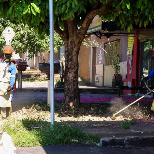 Roçagem nas margens de vias reforça limpeza urbana na Vila Galvão