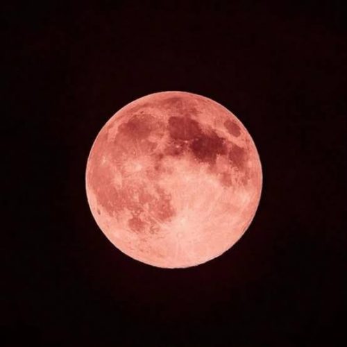 “Lua de Morango” poderá ser observada em Goiás nesta segunda-feira