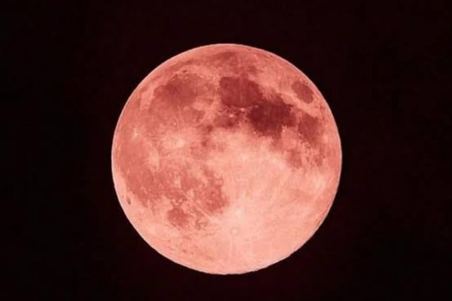“Lua de Morango” poderá ser observada em Goiás nesta segunda-feira
