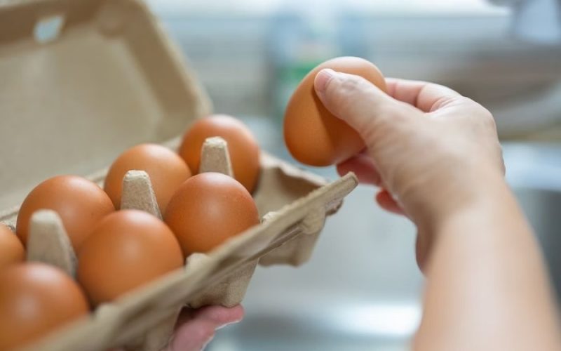 Exportações brasileiras de ovos disparam 271% em abril e consolidam novos mercados como EUA e Japão
