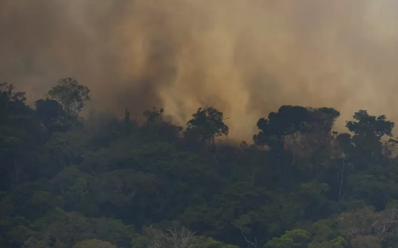 Fumaça das queimadas pode causar 1,4 milhão de mortes por ano até 2100, alertam estudos