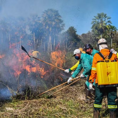 Governo propõe usar R$ 150 milhões do Fundo Amazônia para combater incêndios no Cerrado e Pantanal