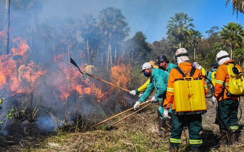 Governo propõe usar R$ 150 milhões do Fundo Amazônia para combater incêndios no Cerrado e Pantanal