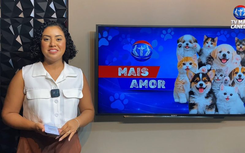 Quadro Mais Amor: adoção responsável