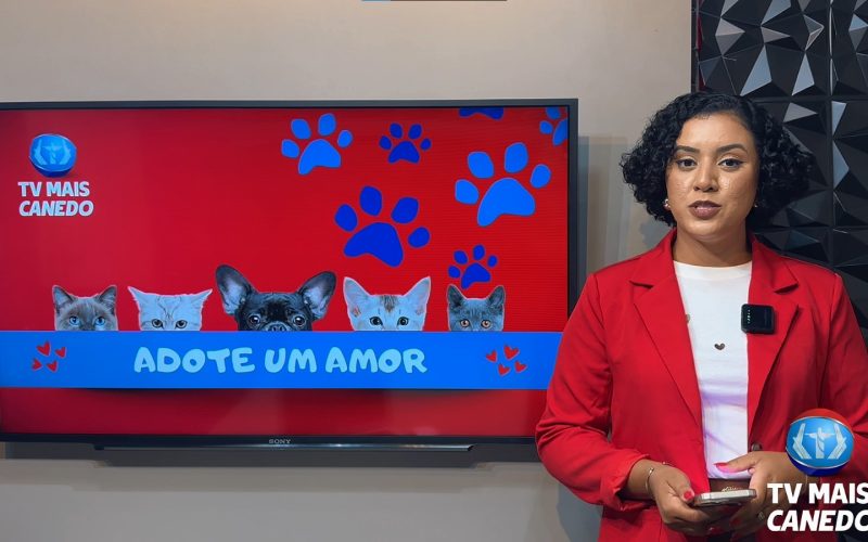 Quadro Mais Amor – Adote um amiguinho