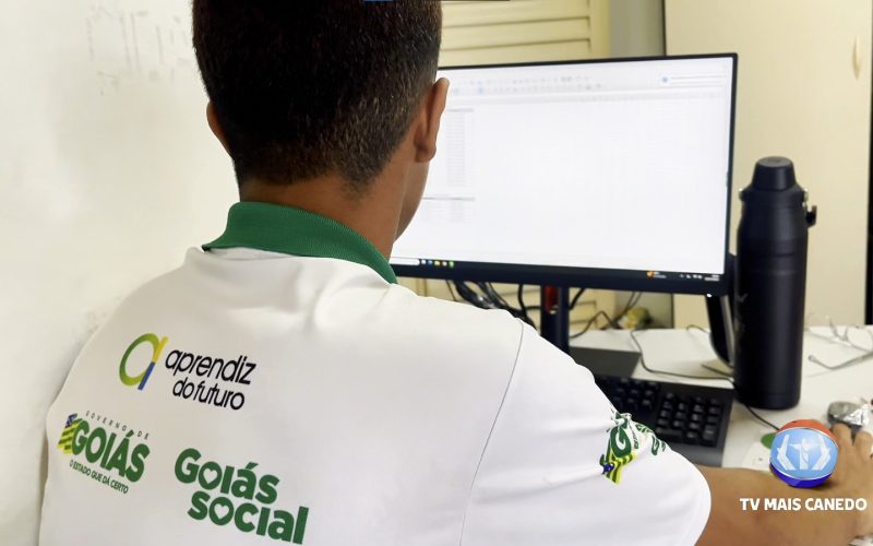 Programa Aprendiz do Futuro: Transformando Vidas e Construindo Oportunidades