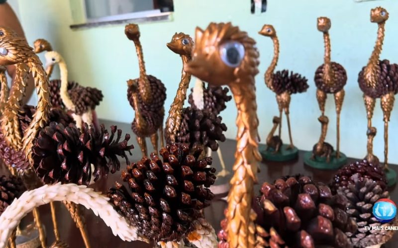 Transforme a natureza em arte: Artesanato com pinhas encanta pela criatividade e sustentabilidade