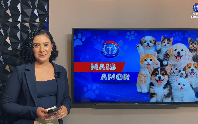 Quadro Mais Amor incentiva adoção responsável de cães e gatos resgatados em Senador Canedo