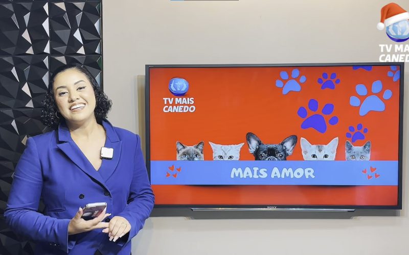 🐶❤️💙Quadro Mais Amor – Adote um amiguinho