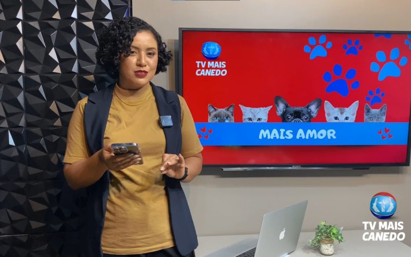 🐶❤️💙 Quadro Mais Amor Incentiva Adoção Responsável de Pets Resgatados em Senador Canedo