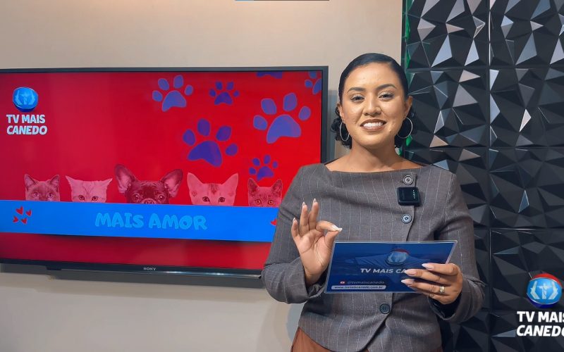 Confira no Jornal Mais Canedo como encontrar o seu próximo amiguinho de quatro patas.