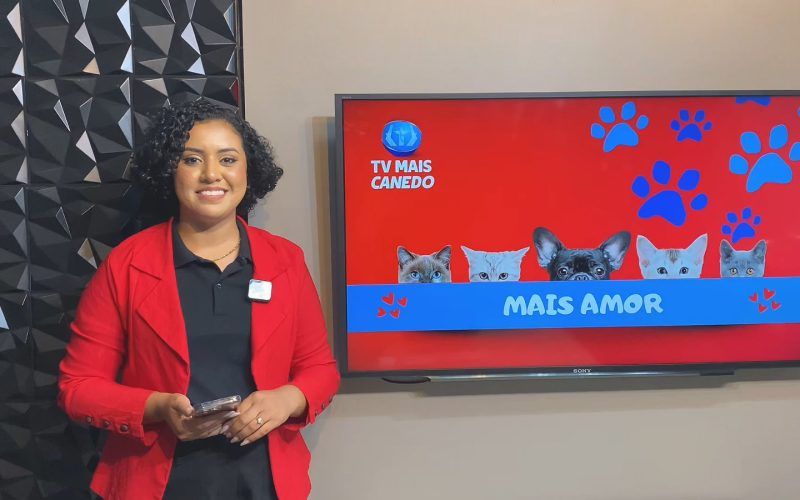 Quadro Mais Amor Incentiva Adoção Responsável de Cães e Gatos Resgatados em Senador Canedo