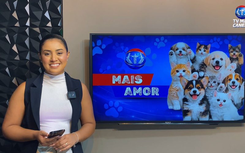Quadro Mais Amor – Adote um amiguinho!
