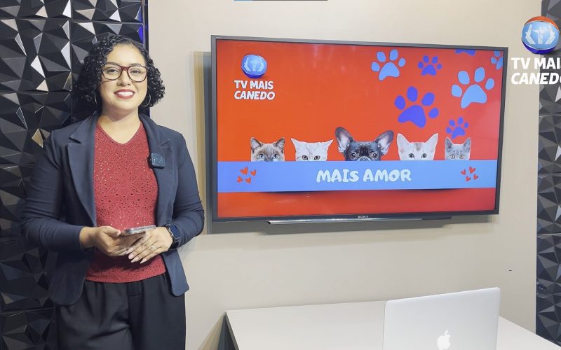 🐶❤️💙 Quadro Mais Amor – Adote um amiguinho