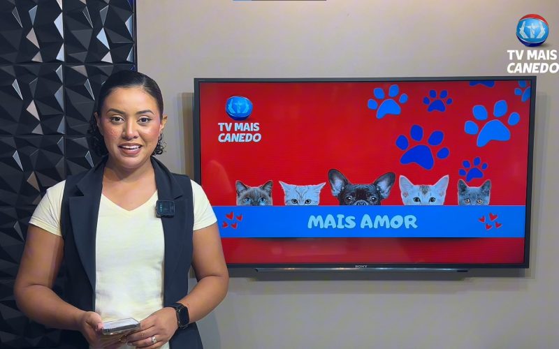 🐶❤💙Quadro Mais Amor – Adote um amiguinho