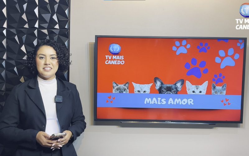 🐶❤💙Quadro Mais Amor – Adote um amiguinho