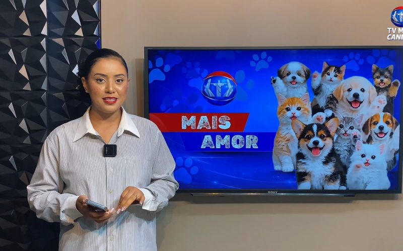 Quadro Mais Amor promove adoção responsável de animais resgatados em Senador Canedo