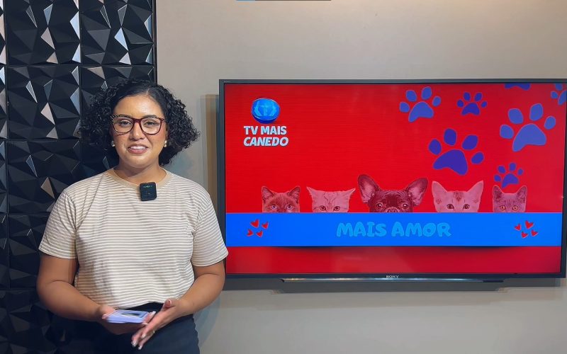 🐶❤️💙Quadro Mais Amor – Adote um amiguinho
