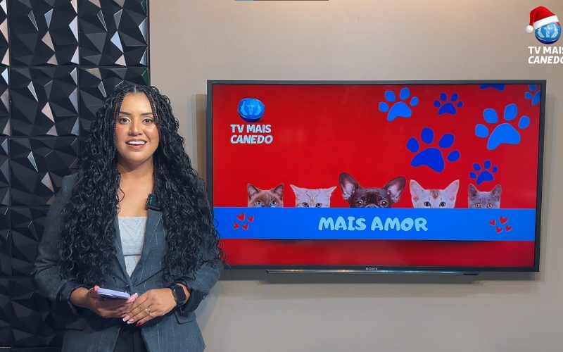 🐶❤️💙 Quadro Mais Amor – Adote um amiguinho