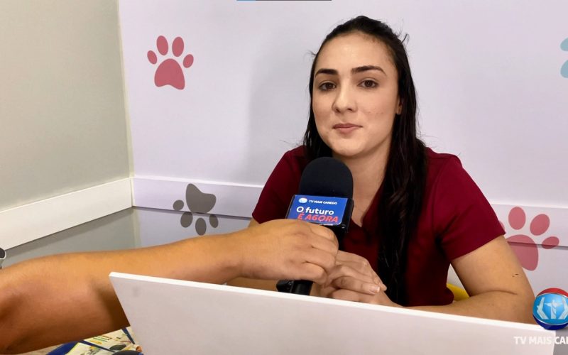 Cuidados Redobrados com os Pets no Frio e Tempo Seco