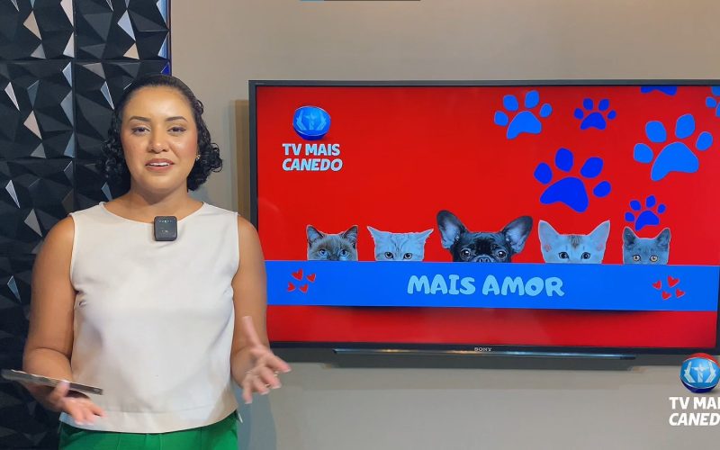 🐶❤💙Quadro Mais Amor – Adote um amiguinho.