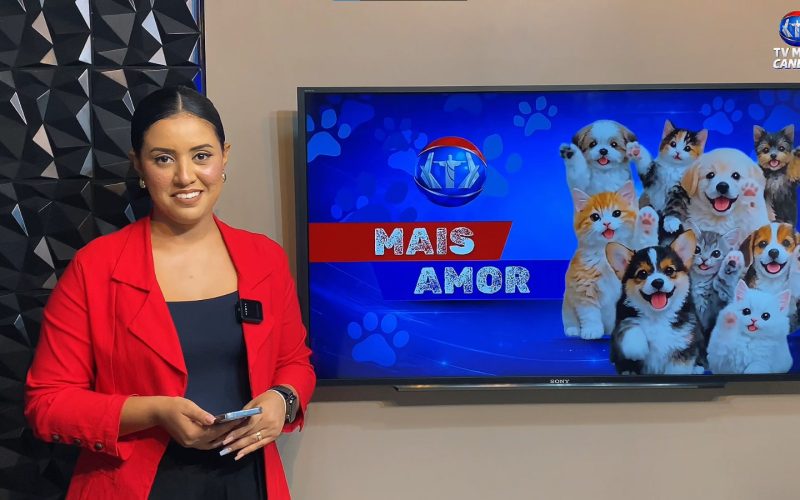 Quadro Adote um Amor oferece nova chance para animais resgatados no município