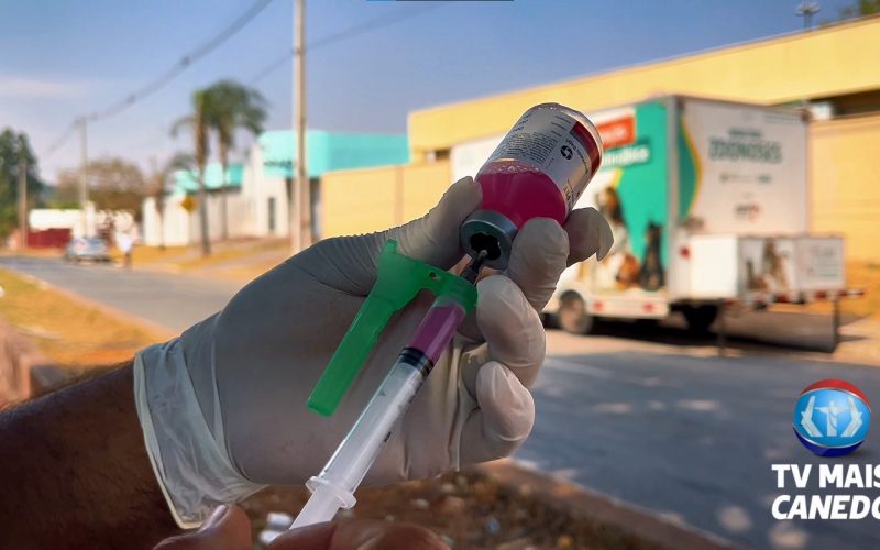 Campanha de vacinação antirrábica protege animais de estimação e a comunidade em Senador Canedo